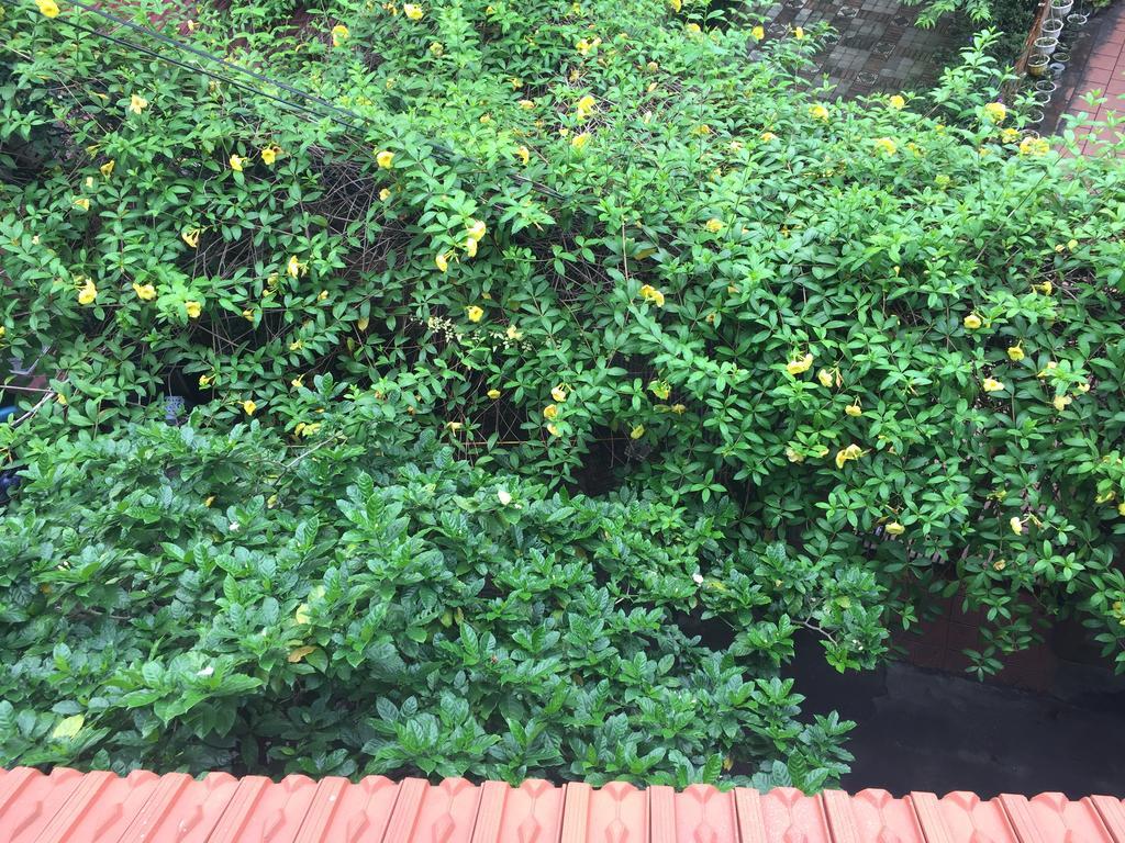 An Home هانوي المظهر الخارجي الصورة